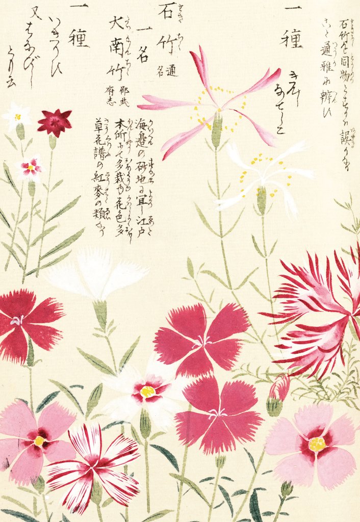 Detail of Honzo Zufu [Pinks] by Kan'en Iwasaki