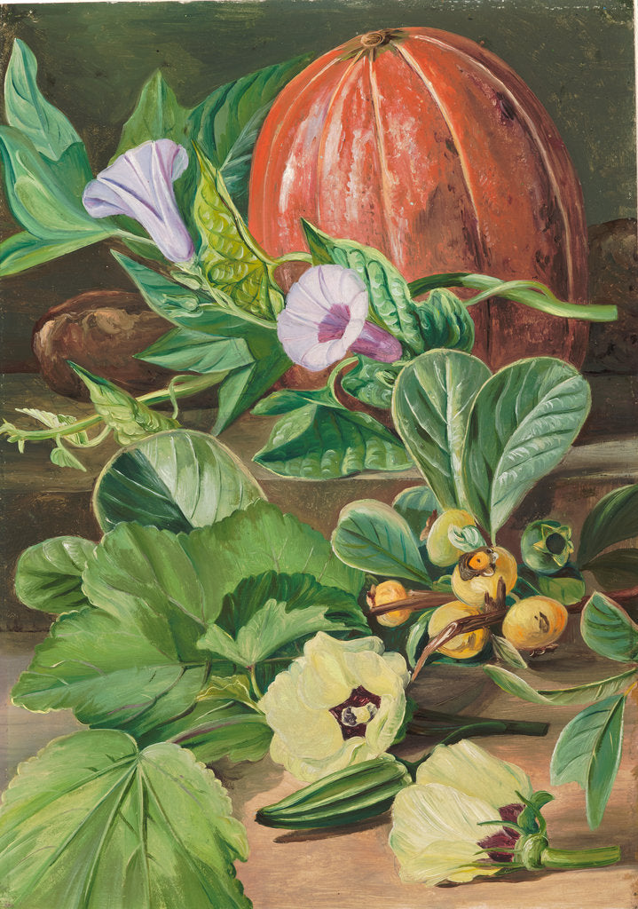 Detail of 29. Some fruits and vegetables used in Brazil, 1880 by Marianne North