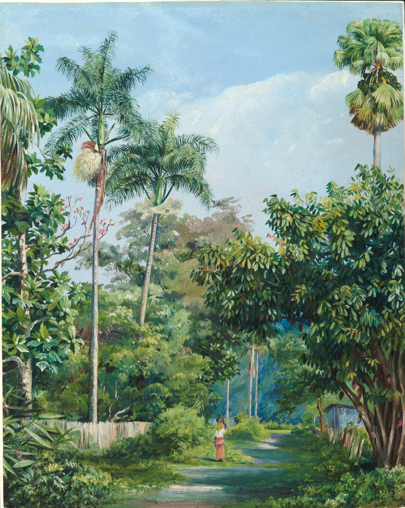 Detail of 113. Road near Bath, Jamaica, with cabbage palms, bread fruit, cocoa, and coral trees, 1872 by Marianne North