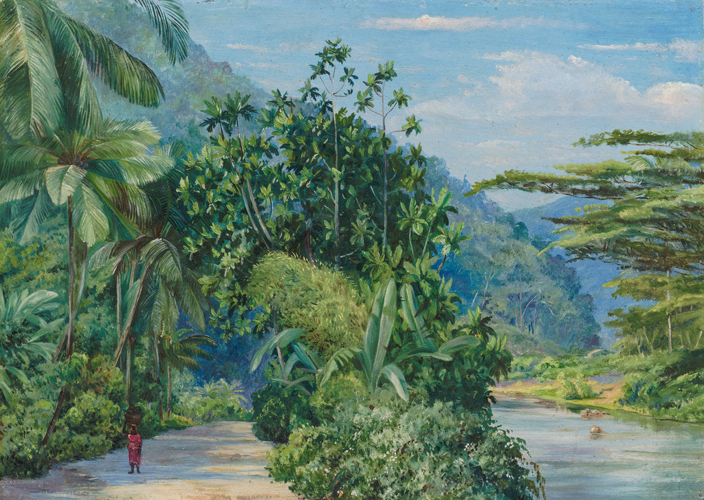 Detail of 116. The bog-walk, Jamaica, with bread fruit, banana, cocoanut, and other trees, 1973 by Marianne North