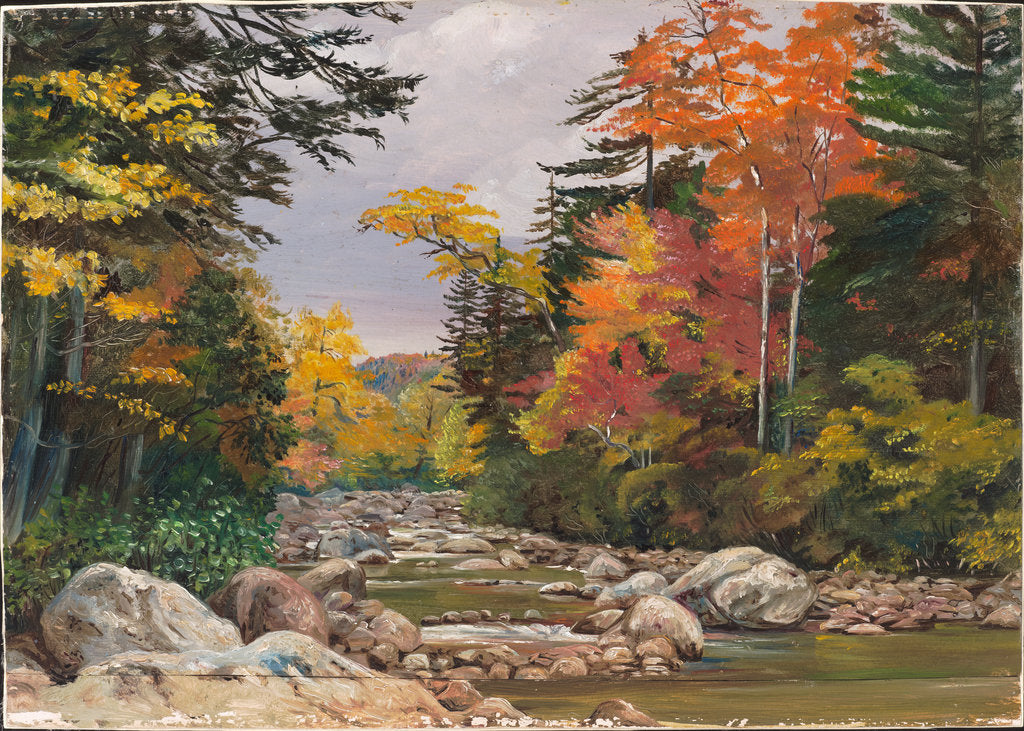 Detail of 191. Autumn tints in the White Mountains, New Hampshire, United States, 1871 by Marianne North