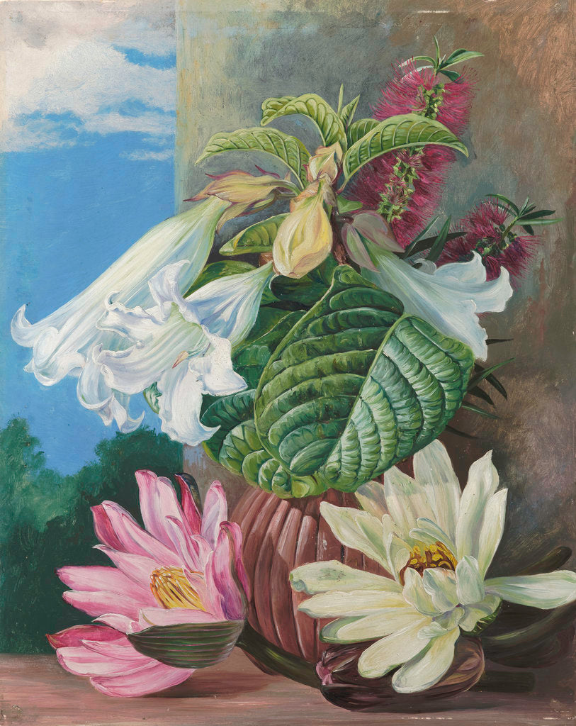 Detail of 46. Flowers cultivated in the Botanic Garden, Rio Janeiro, Brazil. by Marianne North