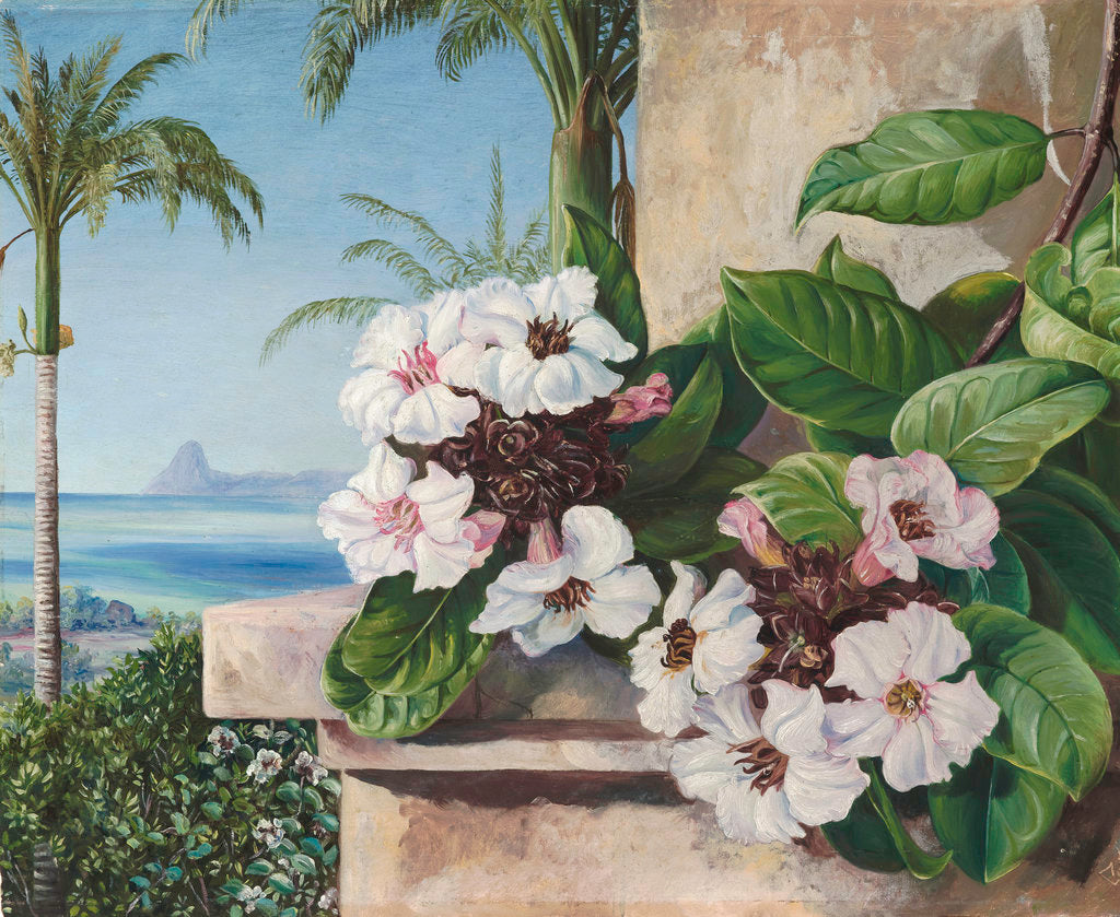 Detail of 65. Foliage and Flowers of a climbing plant with Royal Palms and Sugarloaf Mountain in the background, Brazil. by Marianne North