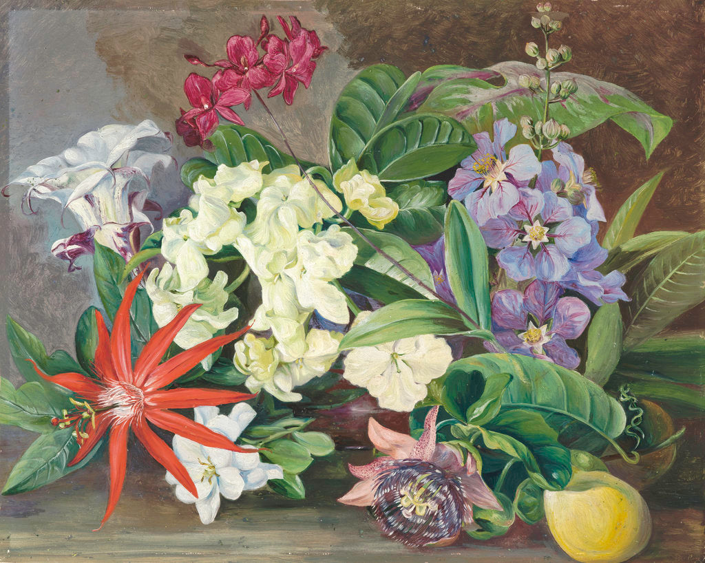 Detail of 147. Cultivated Flowers; painted in Jamaica. by Marianne North