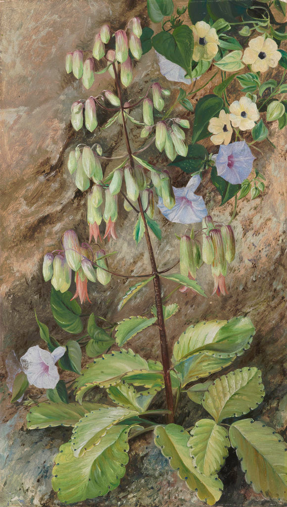 Detail of 182. Study of the