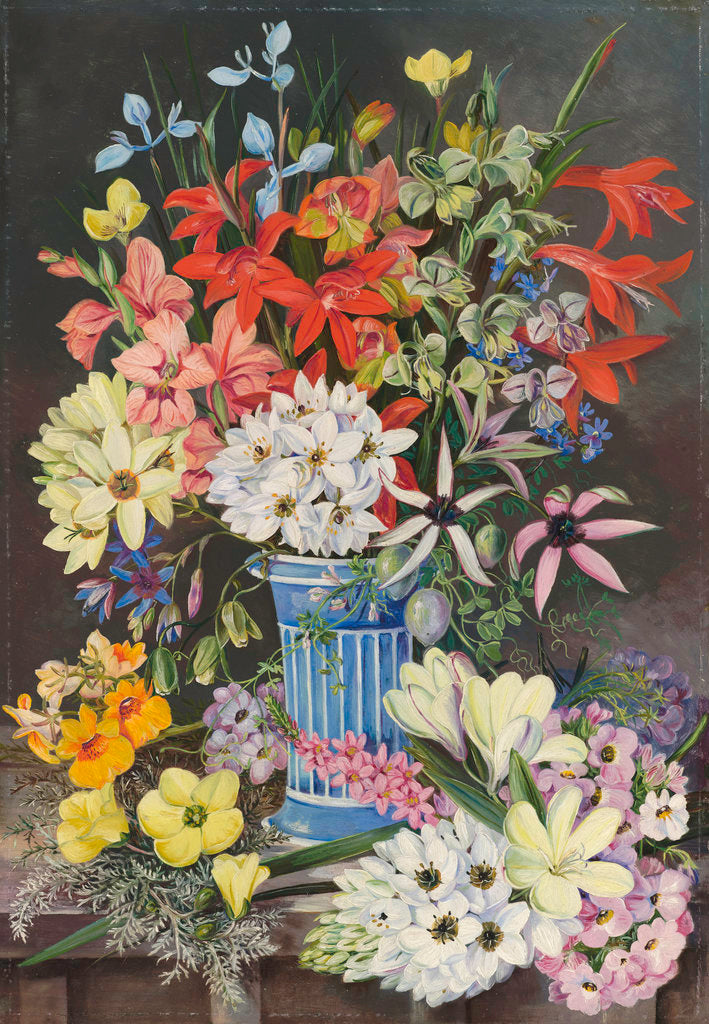 Detail of 409. Old Dutch Vase and South African Flowers. by Marianne North