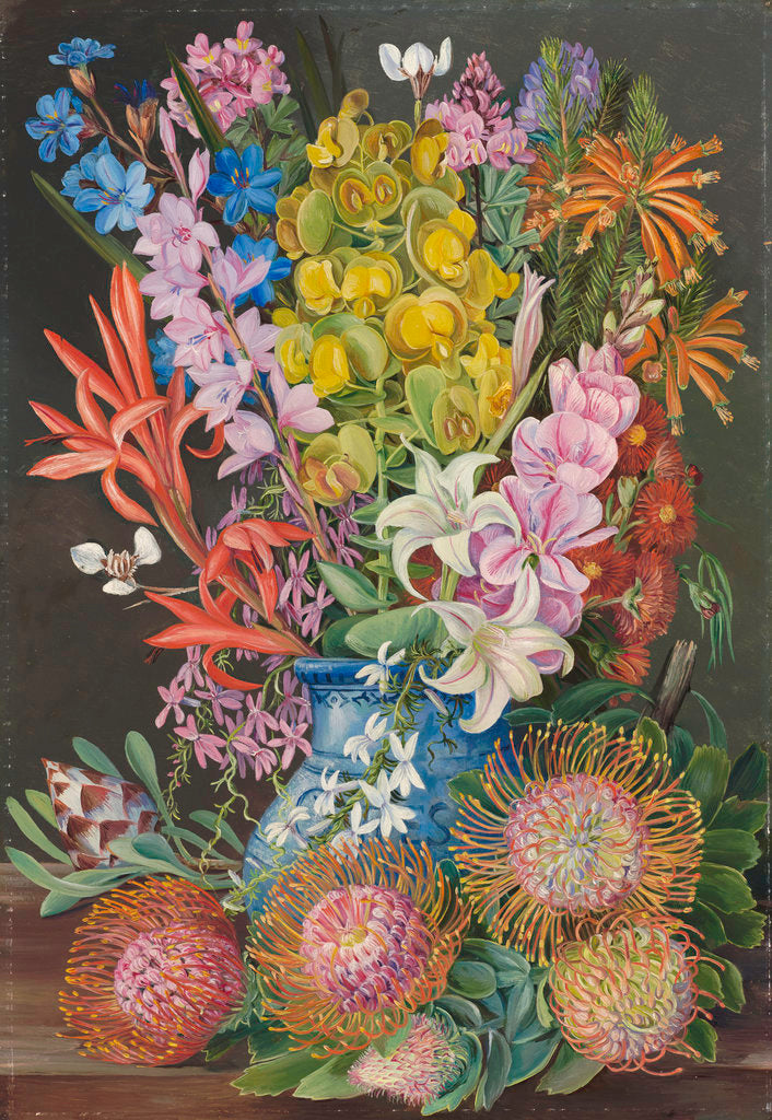 Detail of 438. Wild Flowers of Ceres, South Africa. by Marianne North