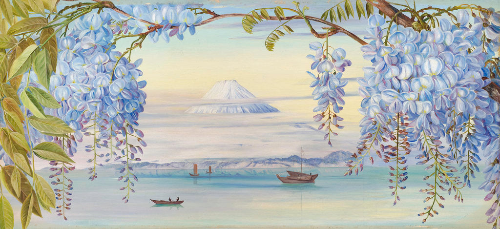 Detail of 658. Mount Fuji by Marianne North