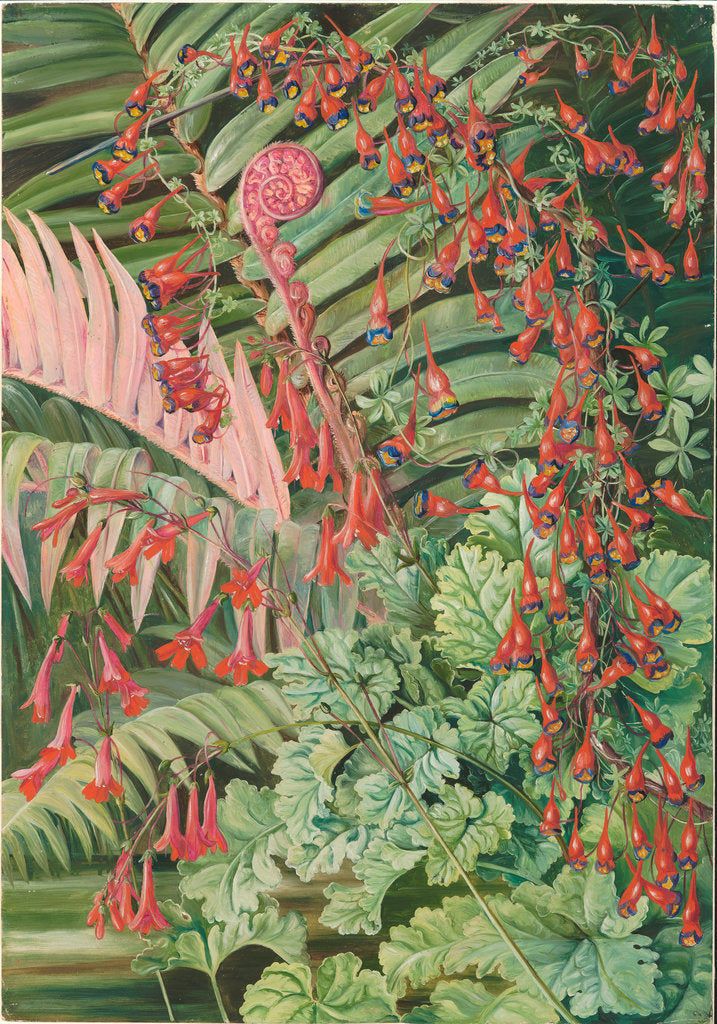 Detail of 5. Fern and flowers bordering the river at Chanleon, Chili, 1885. by Marianne North
