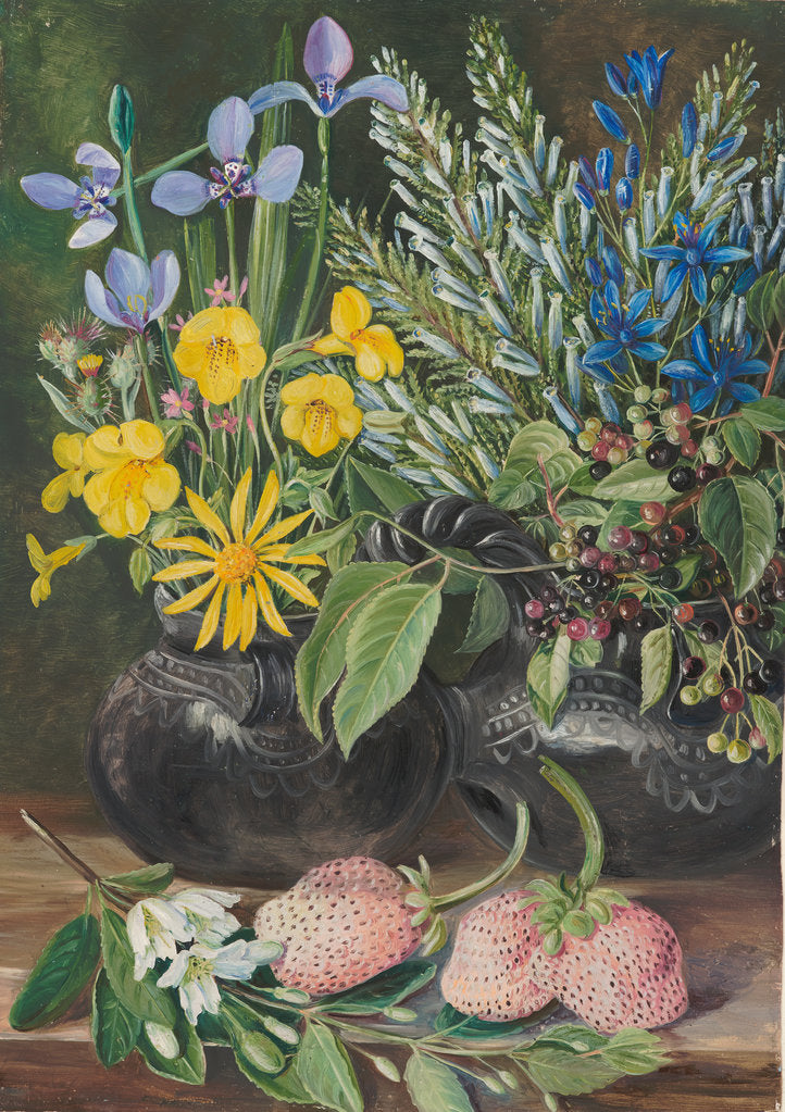Detail of 18. Chilean flowers in twin mate pot, and Chili, and strawberries, 1880 by Marianne North