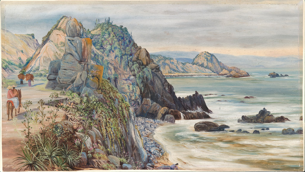 Detail of 24. Sea-shore near Valparaiso, Chili, 1880 by Marianne North