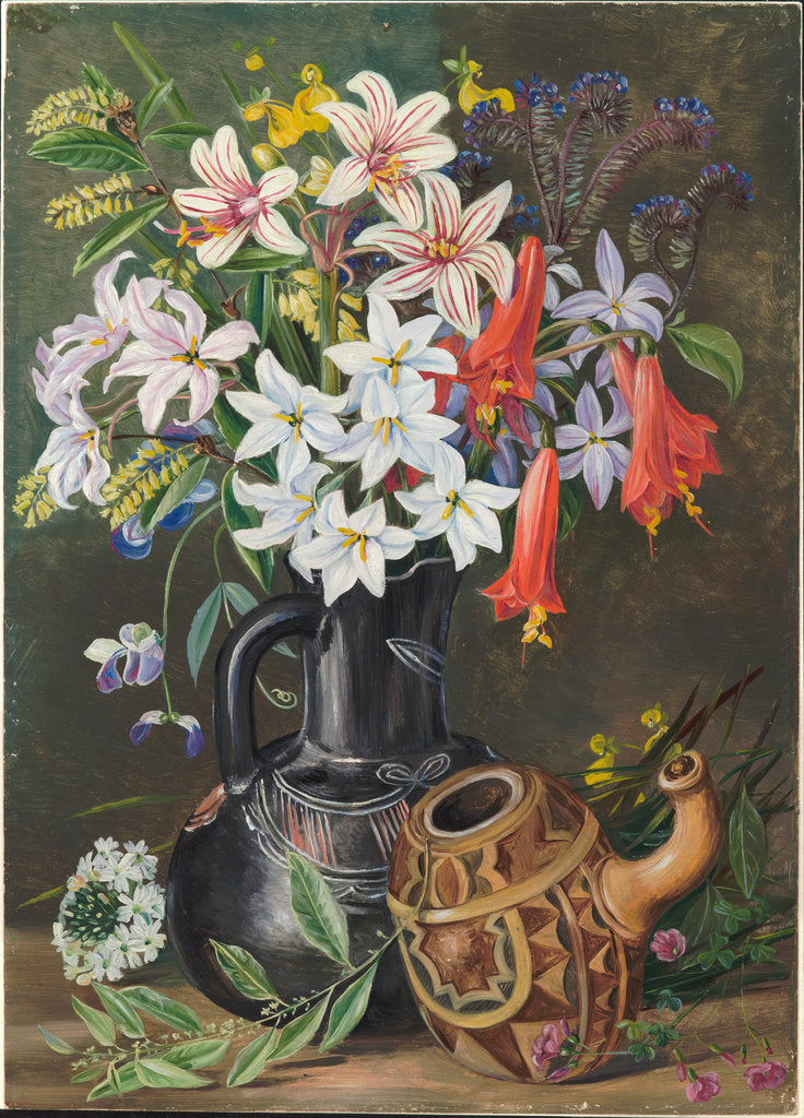 Detail of 27. Chilian lilies and other flowers in black jug and ornamented gourd for mate, 1880 by Marianne North