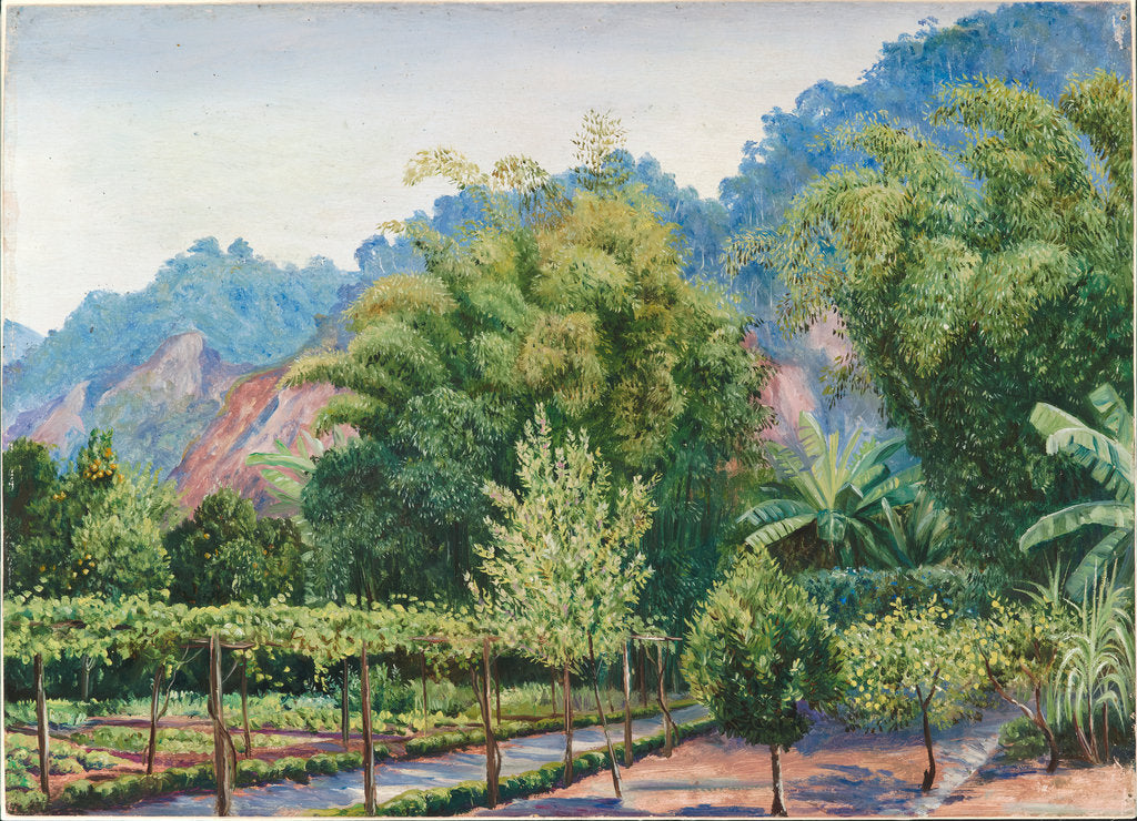 Detail of 34. View of Mr Morit's garden at Petropolis, Brazil, 1880 by Marianne North