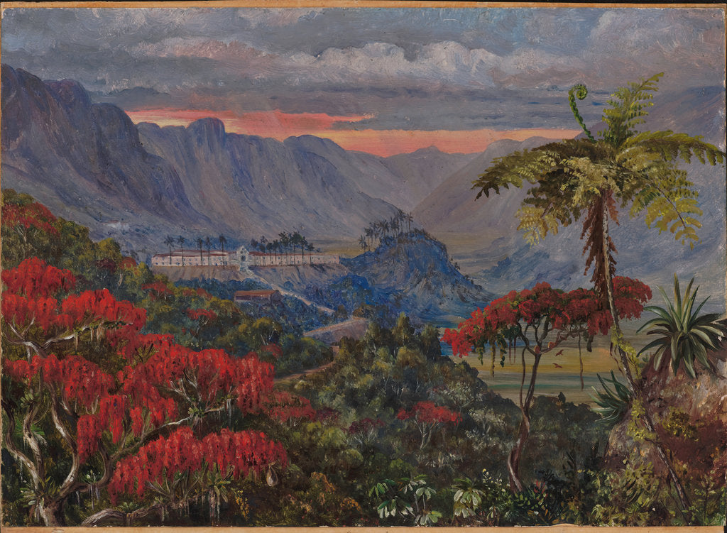 Detail of 35. View of the Jesuit college of Caracas, Minas Geraes, Brazil, 1880 by Marianne North