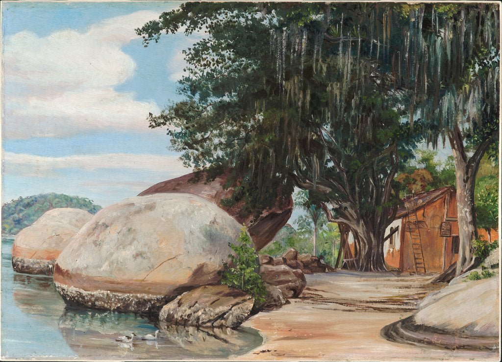 Detail of 40. Boulders, fisherman's cottage and tree hung with air plant, at Parquita, Brazil, 1880 by Marianne North