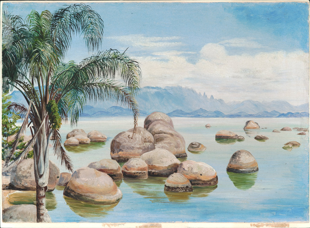 Detail of 48. Palm trees and boulders in the Bay of Rio, Brazil, 1880 by Marianne North