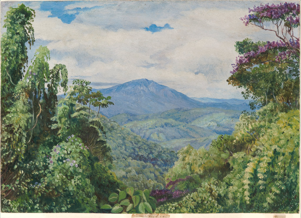 Detail of 53. View of the Piedade Mountains, from Gongo, Brazil, 1880 by Marianne North