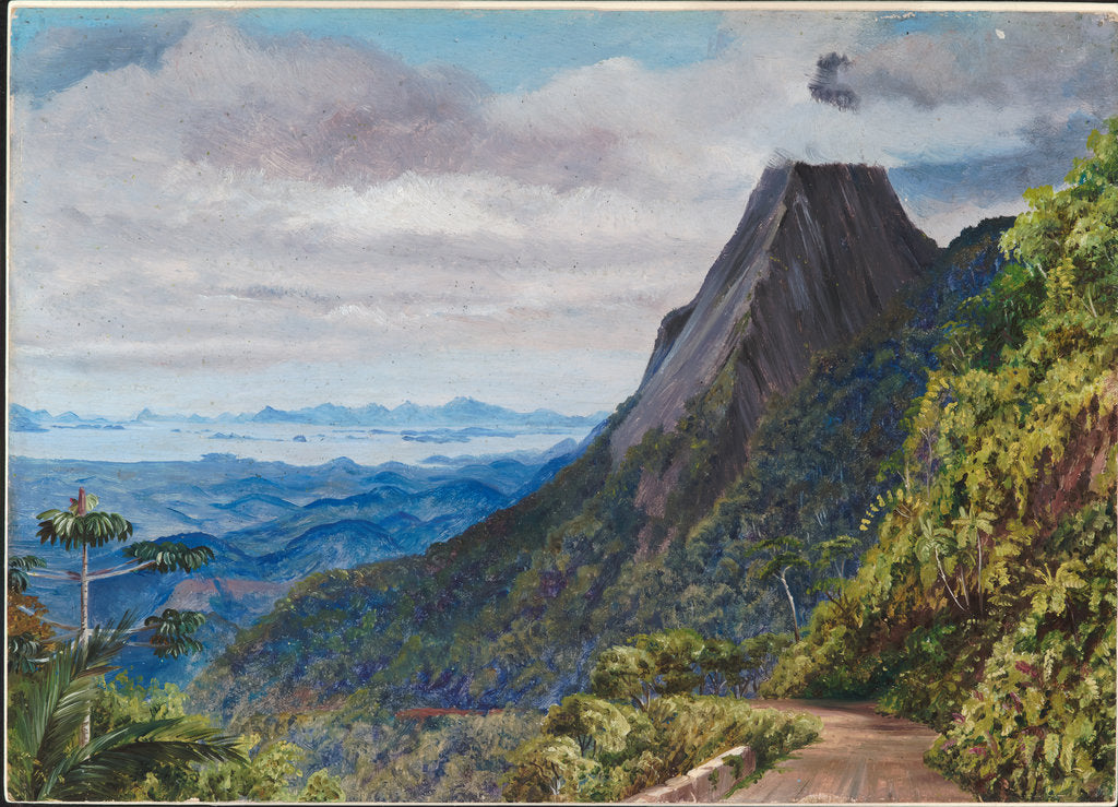 Detail of 61. Organ peak at Theresoplis and bay of Rio below, 1880 by Marianne North