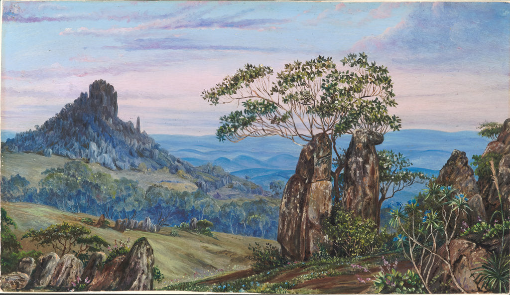 Detail of 74. The iron rocks of Casa Branca, Brazil, 1880 by Marianne North