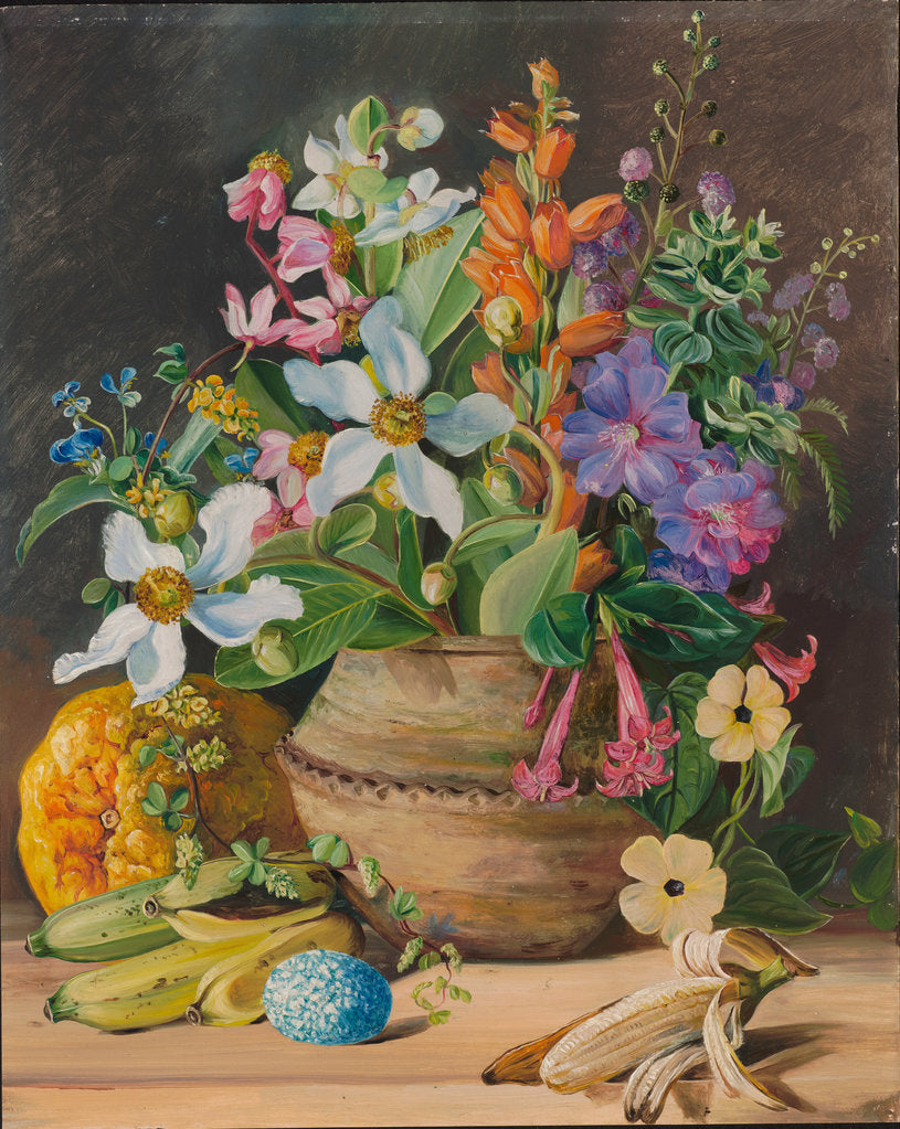 Detail of 76. Group of wild meadow flowers, of Brazil. Golden Banana and Euemba's (Crotophaga major) Egg, 1880 by Marianne North