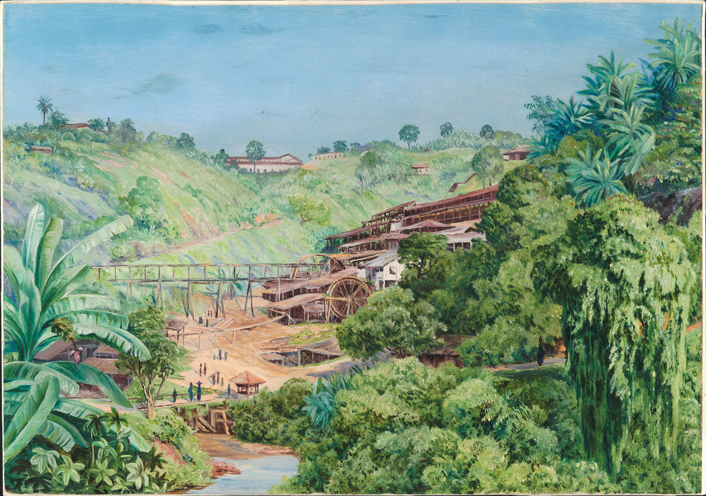 Detail of 79. View of the old gold works at Morro Velho, Brazil, 1880 by Marianne North