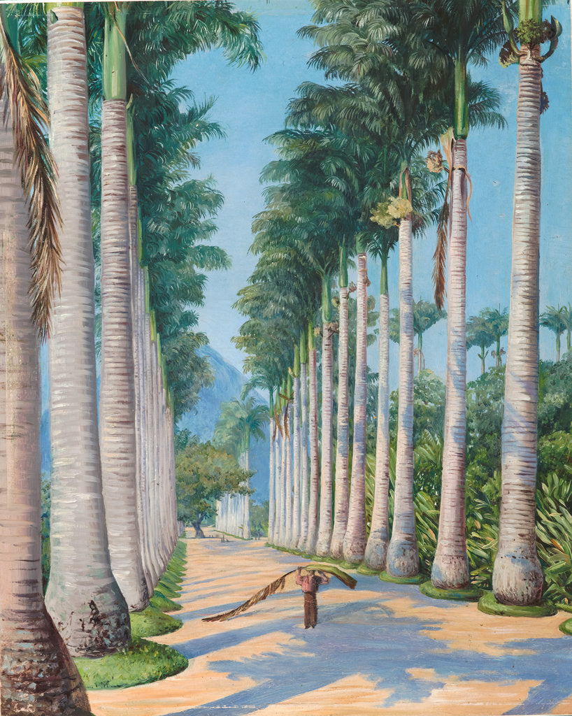 Detail of 85. Side avenue of royal palms at Botafoga, Brazil,1880 by Marianne North