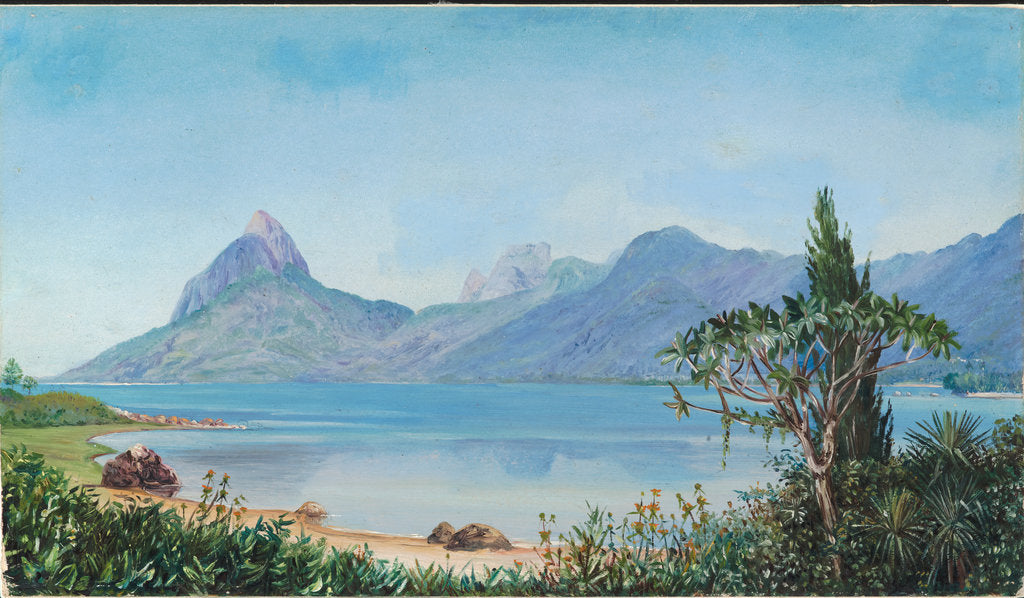 Detail of 86. Lagoa de Freitas, near Rio, Brazil, 1880 by Marianne North