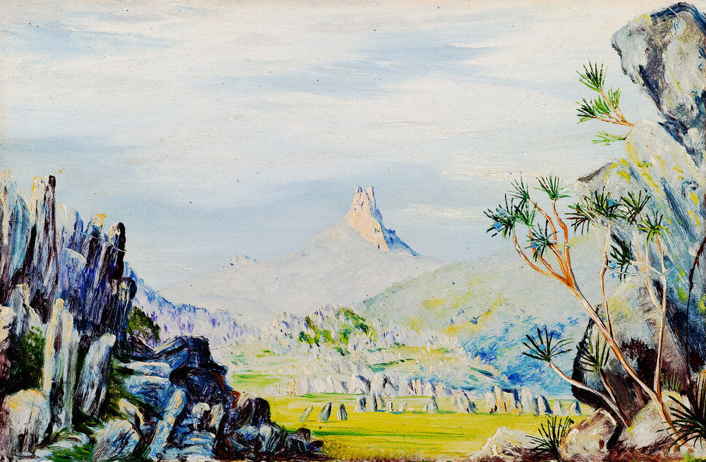 122. Peak of Casa Branca, with its iron rocks and tree lilies, Brazil, 1873 by Marianne North