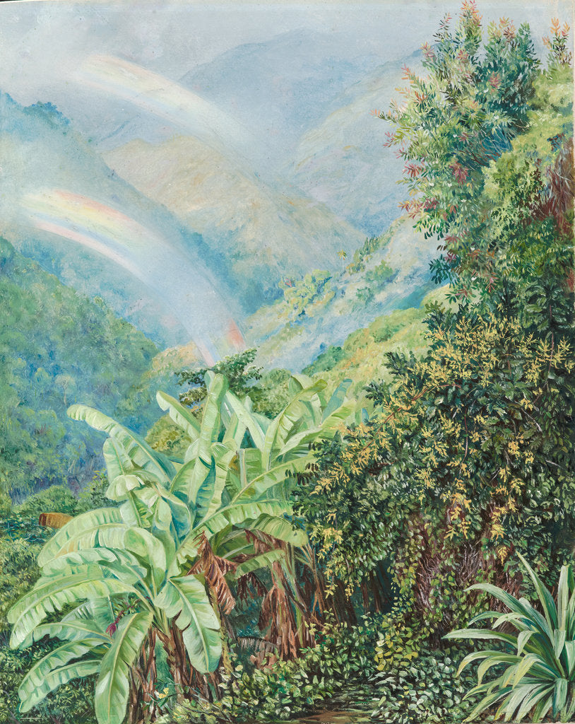 Detail of 126. View from the artist's house in Jamaica, with double rainbow, 1872 by Marianne North