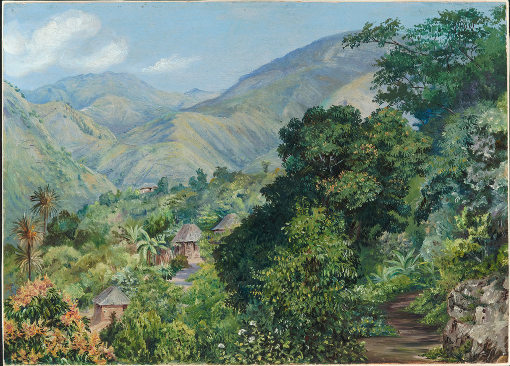 Detail of 133. Distant view of Newcastle, Jamaica, 1872 by Marianne North