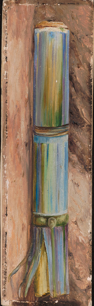 Detail of 135. A piece of sugar cane, 1870 by Marianne North