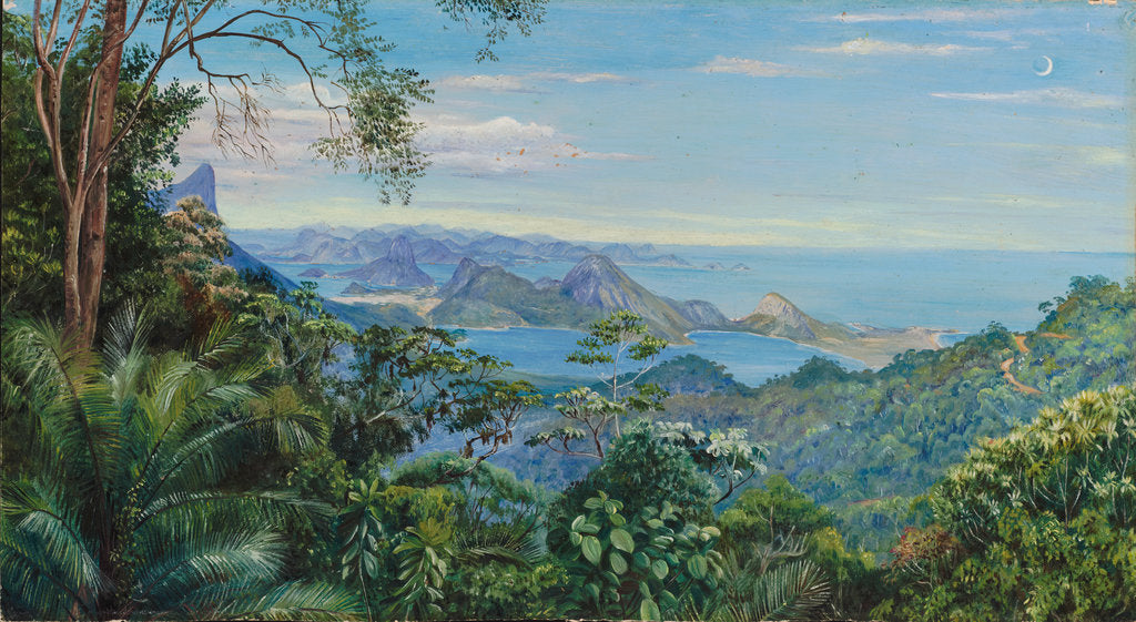 Detail of 138. View of the Bay of Rio and the Sugarloaf Mountain, Brazil, 1872- 1873 by Marianne North