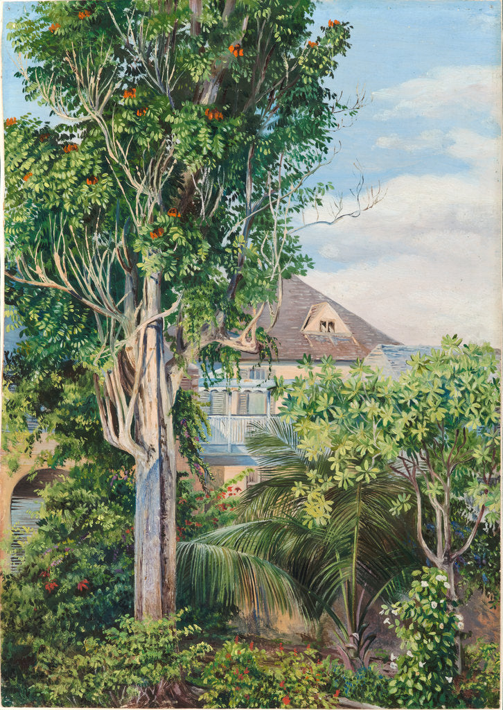 Detail of 146. The garden of King's House, Spanish Town, Jamaica, 1872 by Marianne North