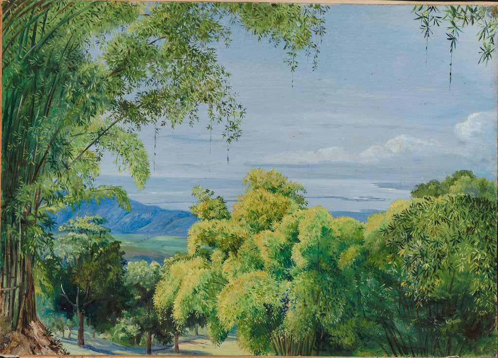 149. View over Port Royal, Jamaica, with bamboos in the foreground, 1872. by Marianne North