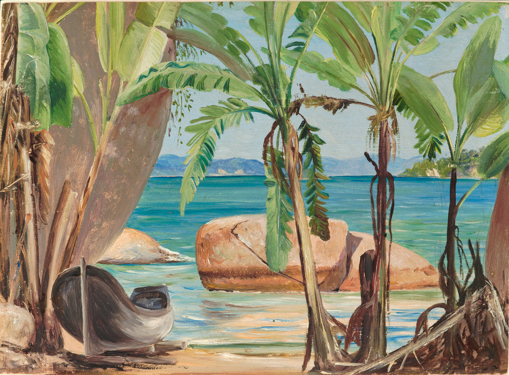 Detail of 150. Bananas and rocks at Paquita, Brazil, 1873 by Marianne North