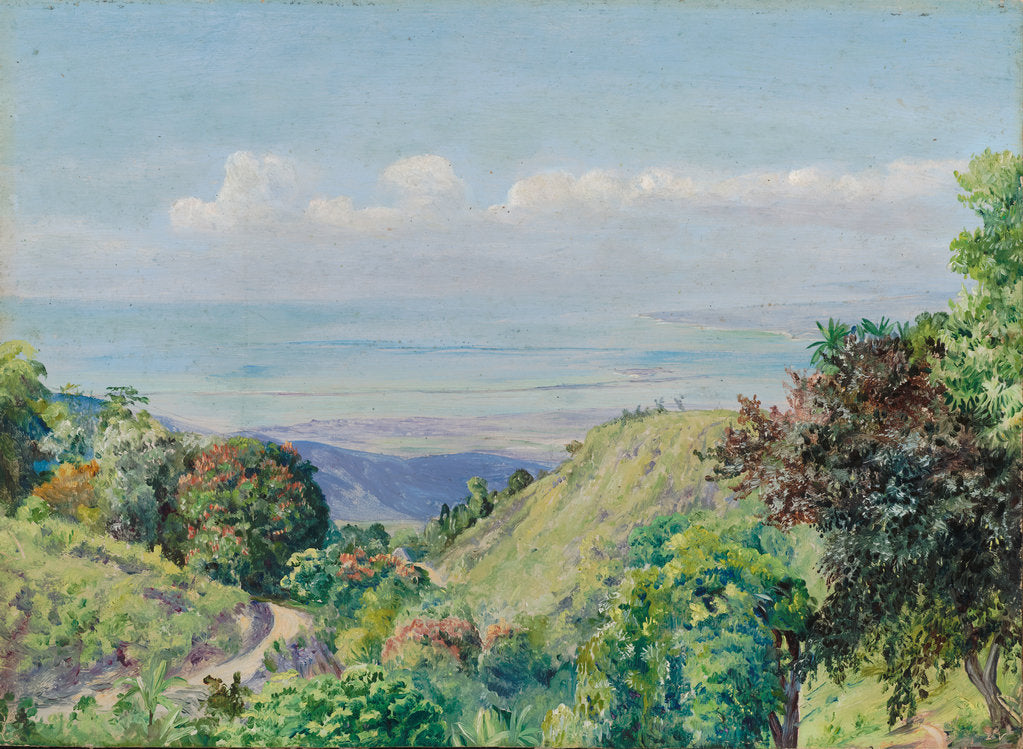 Detail of 161. View over Kingston and Port Royal from Craigton, Jamaica, 1872 by Marianne North