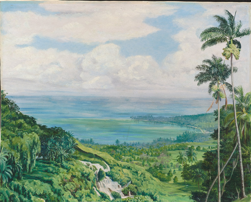 Detail of 164. View over Ochos Rios, Jamaica, 1872 by Marianne North