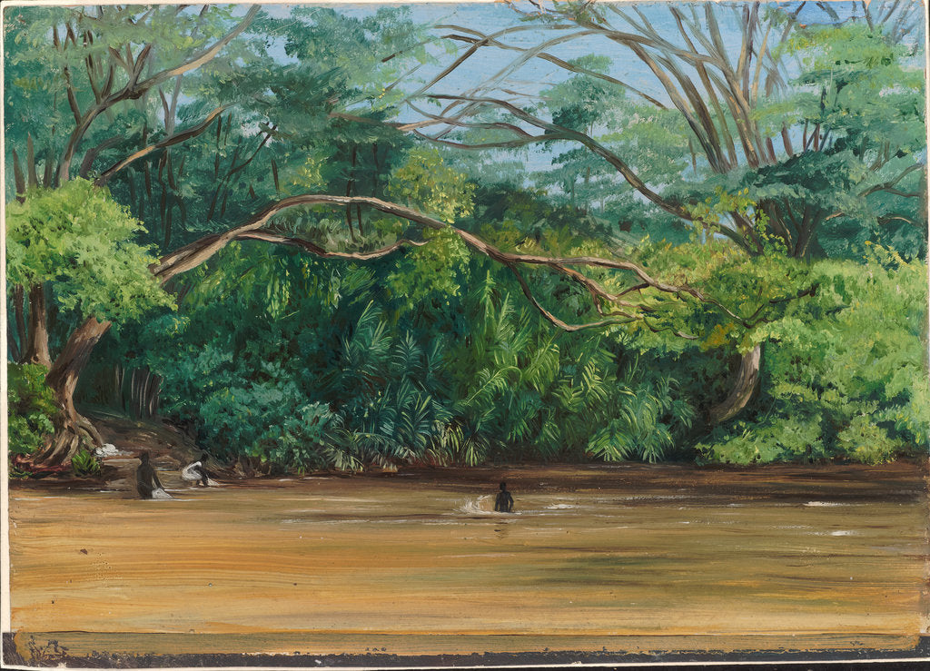 Detail of 167. View of the sandy river at Spanish Town, Jamaica, 1872 by Marianne North