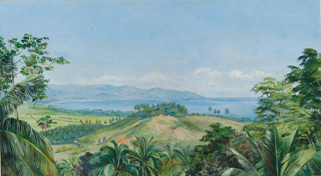 172. View from spring gardens, Buff's Bay, Jamaica, 1872 by Marianne North
