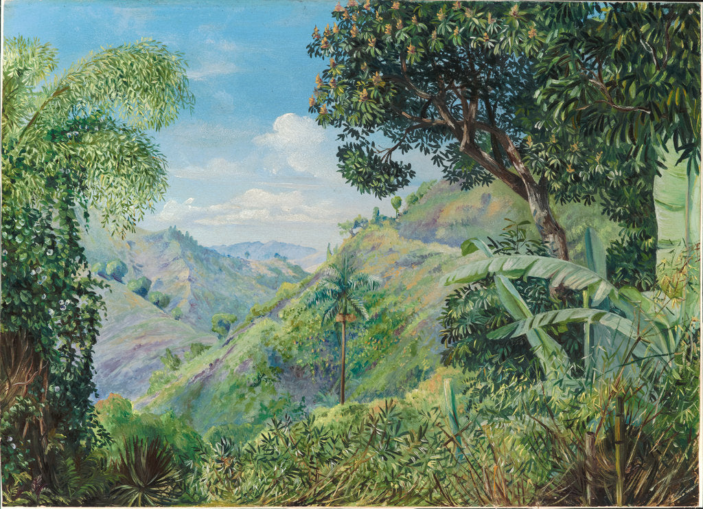 Detail of 181. View on the Flamsted Road, Jamaica, 1872 by Marianne North