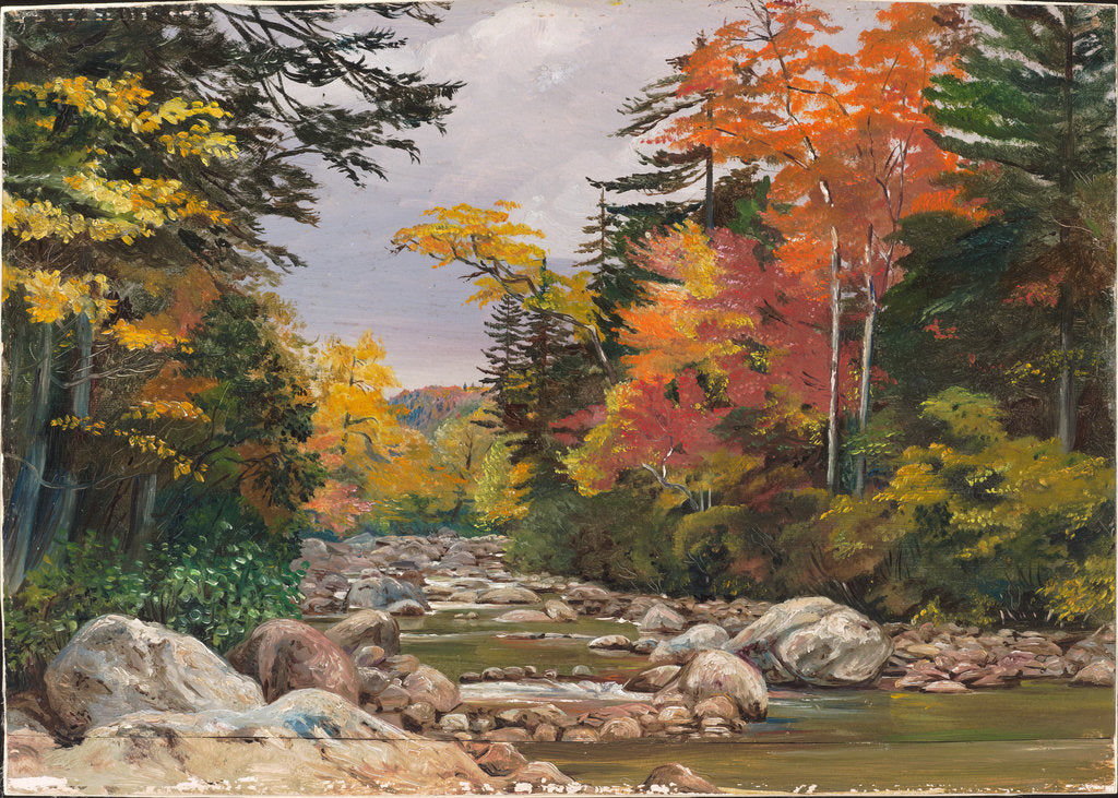 191. Autumn tints in the White Mountains, New Hampshire, United States, 1871 by Marianne North