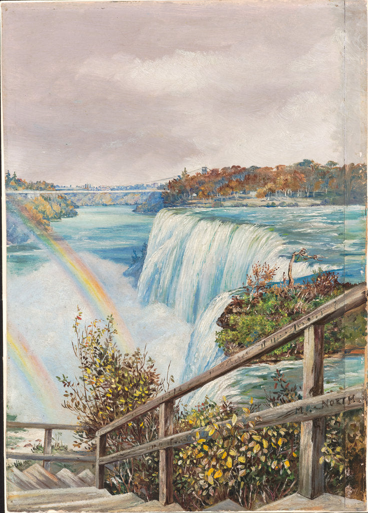 Detail of 193. The American fall from Pearl Island, Niagara, 1871 by Marianne North