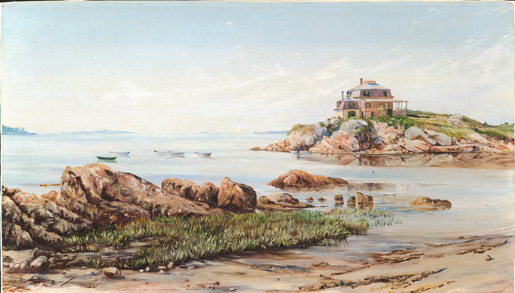 197. On the rocks, near West Manchester, Massachusetts, 1871 by Marianne North