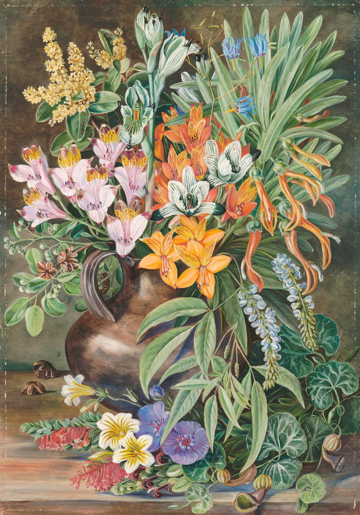 Detail of 12. Some Wild Flowers of Quilpue Chili. by Marianne North