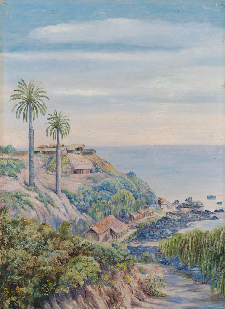 Detail of 17. View of Concon, Chili, with its two Palms by Marianne North