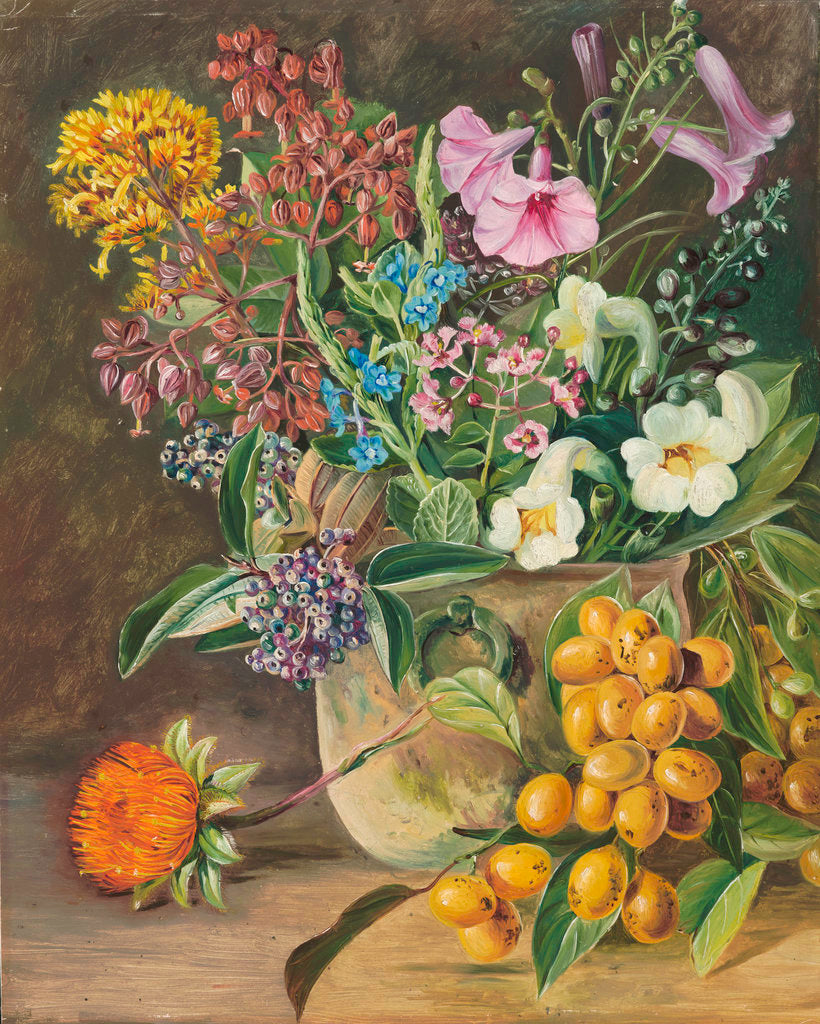 Detail of 87. Group of Brazilian Forest Wild Flowers and Berries. by Marianne North