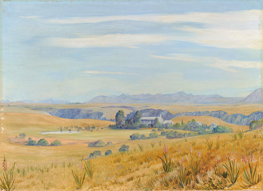 444. View of Cadle's Hotel and the Kloof beyond, near Grahamstown by Marianne North